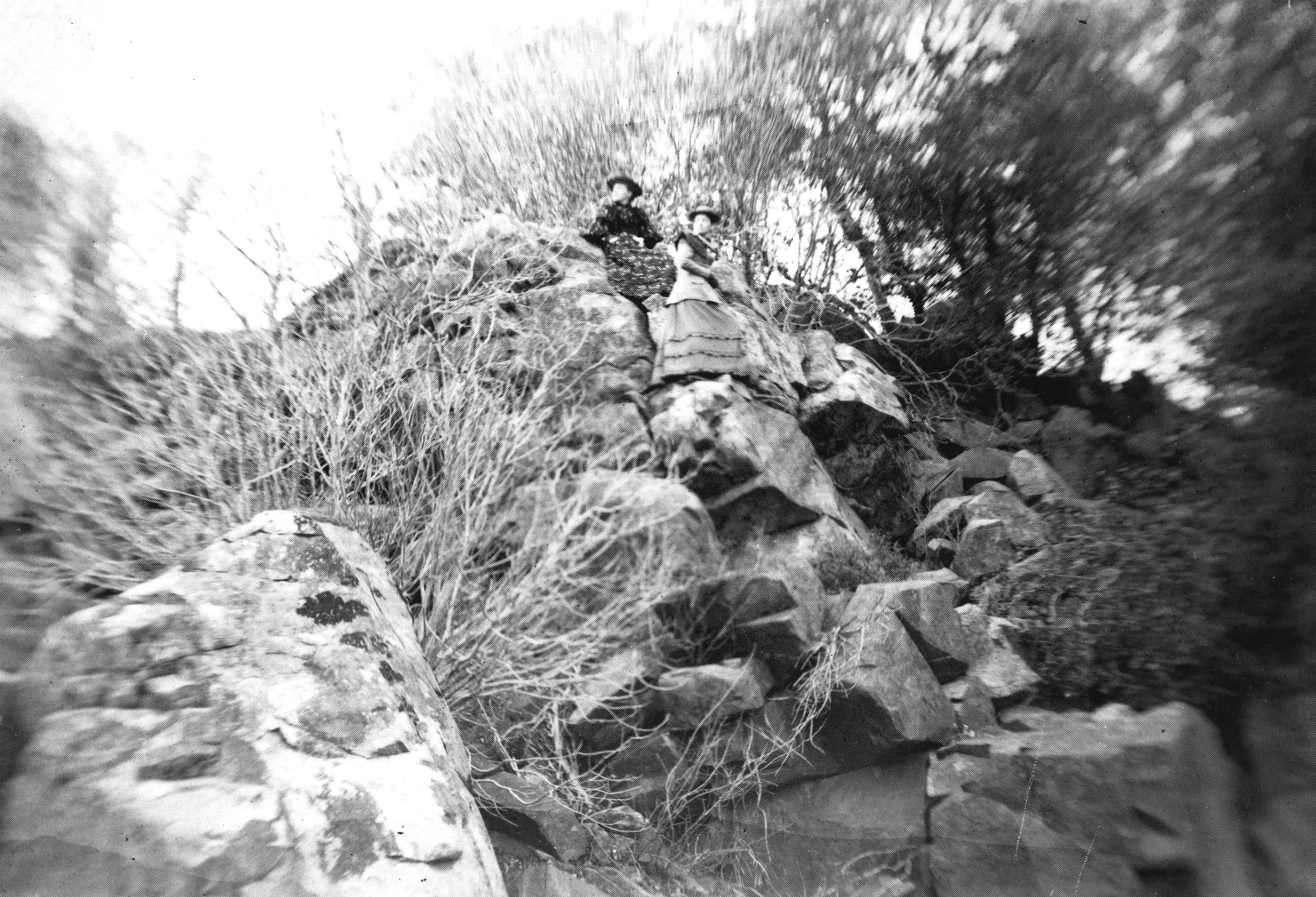 Tuolumne County Groups