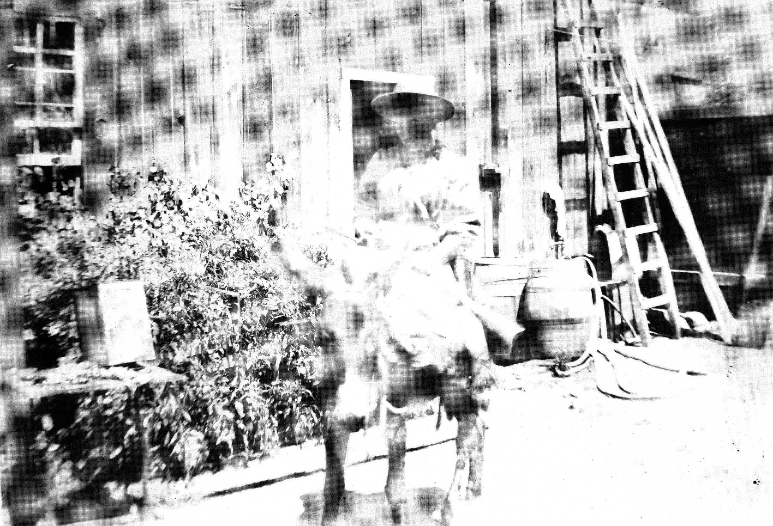 Tuolumne County Groups