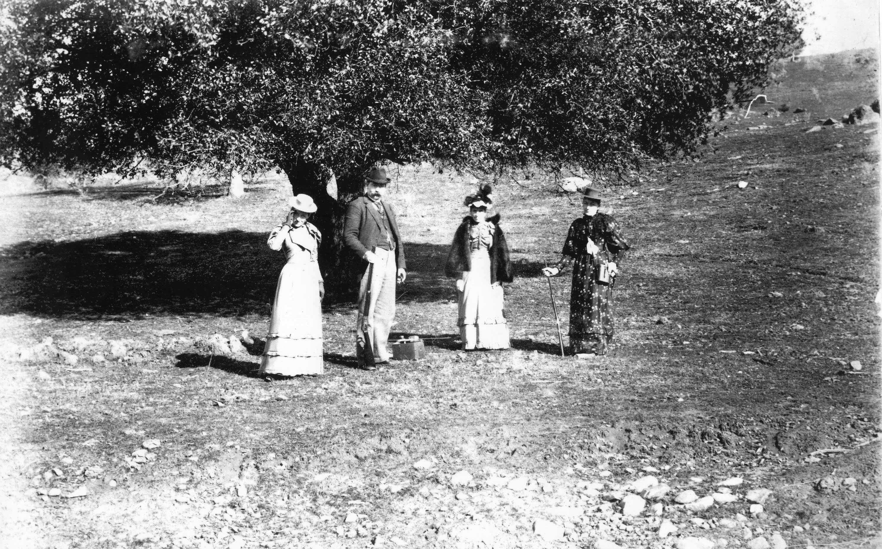 Tuolumne County Groups