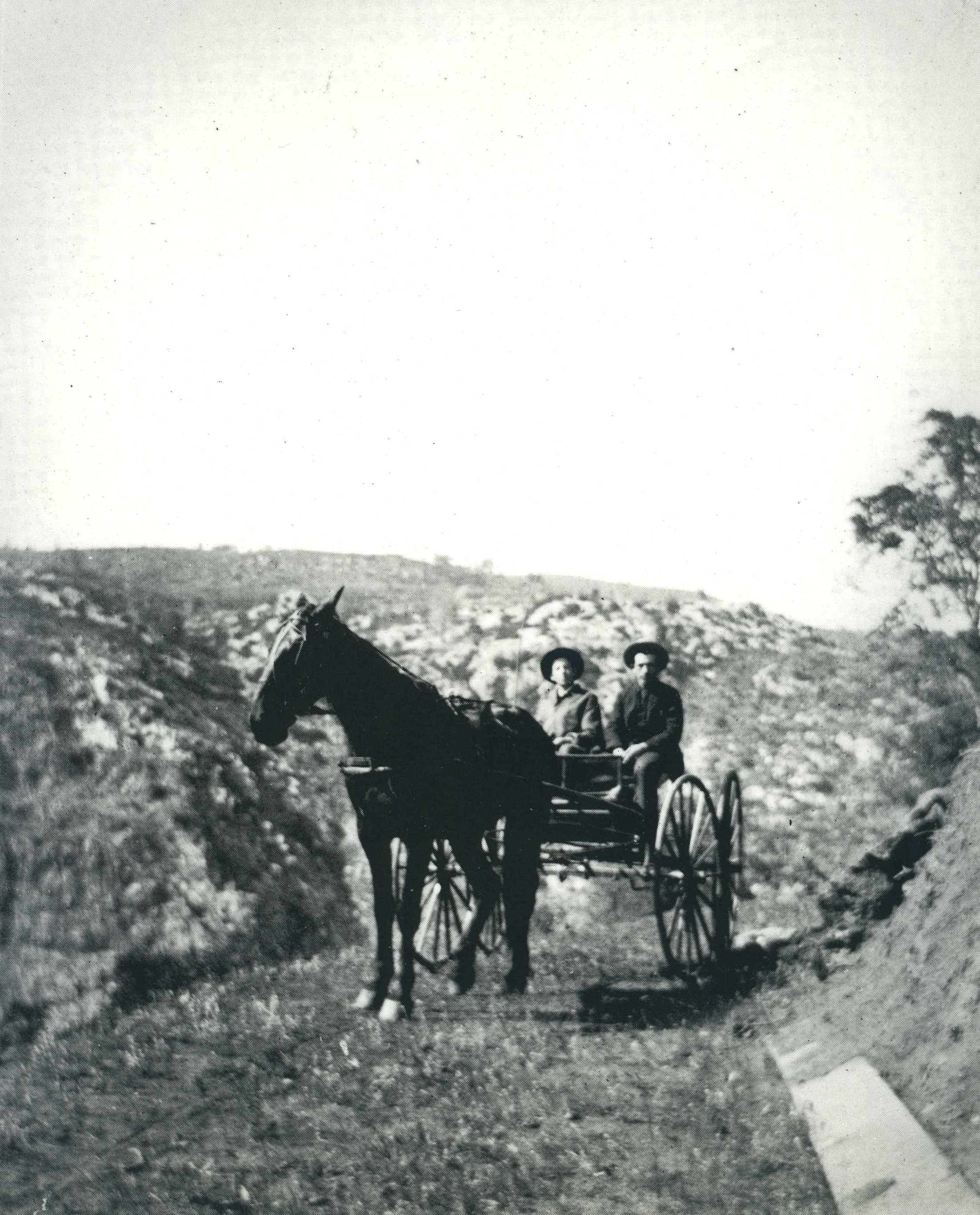 Tuolumne County Groups